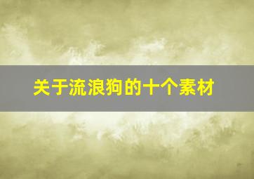 关于流浪狗的十个素材