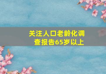 关注人口老龄化调查报告65岁以上