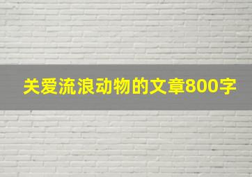 关爱流浪动物的文章800字