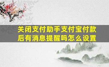 关闭支付助手支付宝付款后有消息提醒吗怎么设置