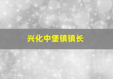 兴化中堡镇镇长