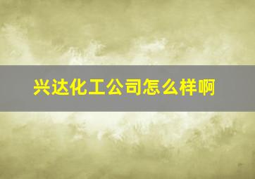 兴达化工公司怎么样啊