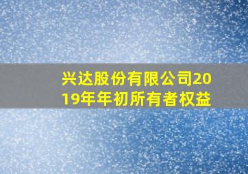 兴达股份有限公司2019年年初所有者权益