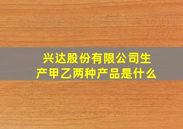 兴达股份有限公司生产甲乙两种产品是什么