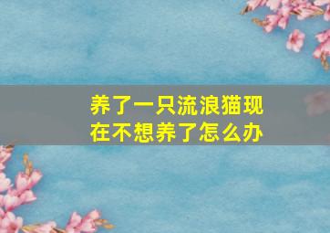 养了一只流浪猫现在不想养了怎么办