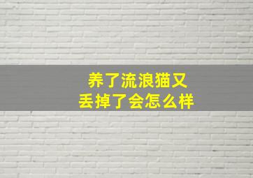 养了流浪猫又丢掉了会怎么样