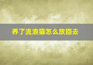 养了流浪猫怎么放回去