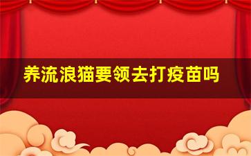 养流浪猫要领去打疫苗吗