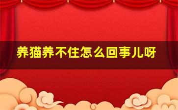 养猫养不住怎么回事儿呀