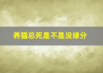 养猫总死是不是没缘分