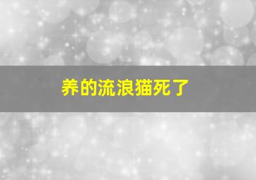 养的流浪猫死了