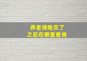 养老保险交了之后在哪里查询