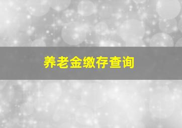 养老金缴存查询