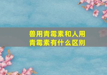 兽用青霉素和人用青霉素有什么区别