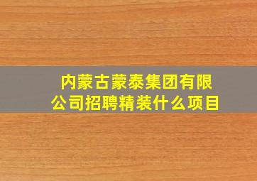 内蒙古蒙泰集团有限公司招聘精装什么项目