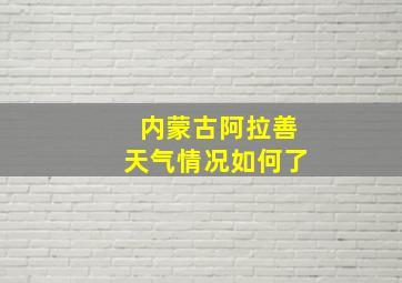 内蒙古阿拉善天气情况如何了