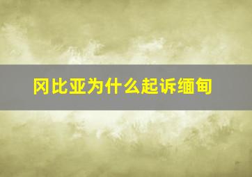 冈比亚为什么起诉缅甸