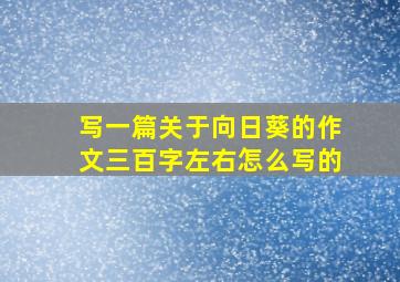 写一篇关于向日葵的作文三百字左右怎么写的