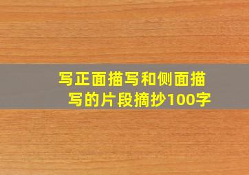 写正面描写和侧面描写的片段摘抄100字