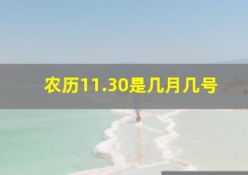 农历11.30是几月几号