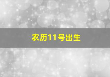 农历11号出生