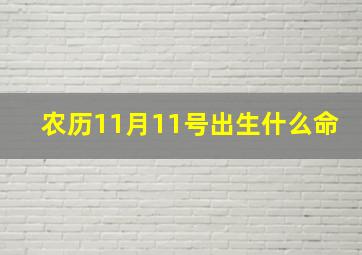 农历11月11号出生什么命