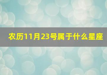 农历11月23号属于什么星座