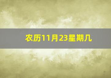 农历11月23星期几