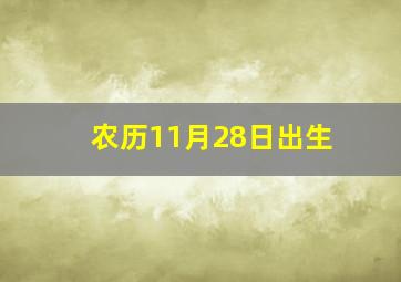 农历11月28日出生