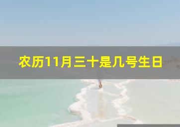 农历11月三十是几号生日