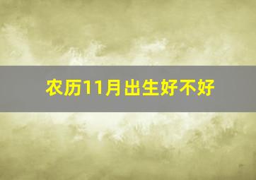 农历11月出生好不好