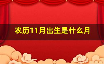 农历11月出生是什么月