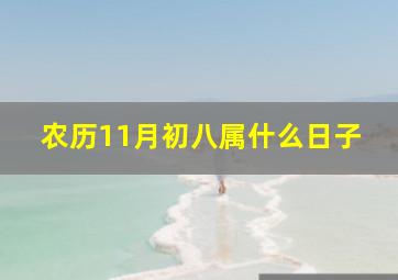 农历11月初八属什么日子