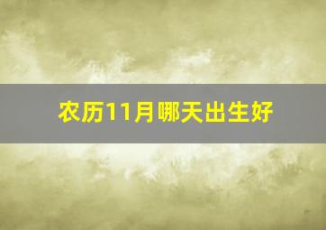 农历11月哪天出生好