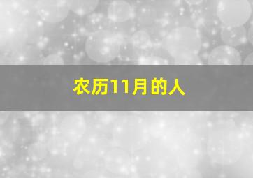 农历11月的人