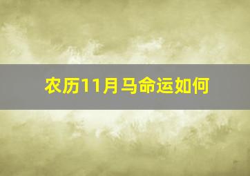 农历11月马命运如何