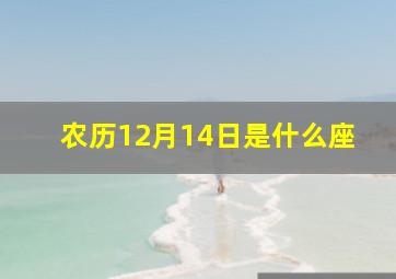 农历12月14日是什么座