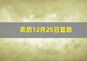 农历12月25日宜忌