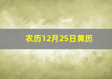 农历12月25日黄历