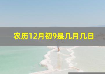 农历12月初9是几月几日