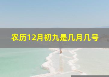 农历12月初九是几月几号