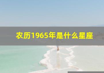 农历1965年是什么星座