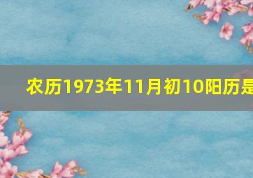 农历1973年11月初10阳历是