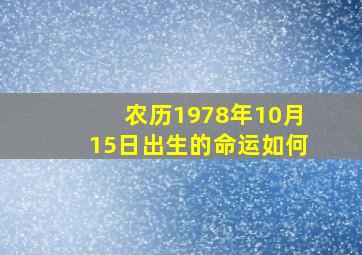 农历1978年10月15日出生的命运如何