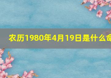 农历1980年4月19日是什么命