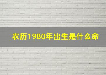 农历1980年出生是什么命