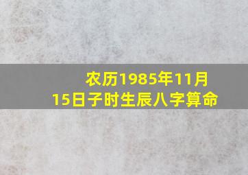 农历1985年11月15日子时生辰八字算命