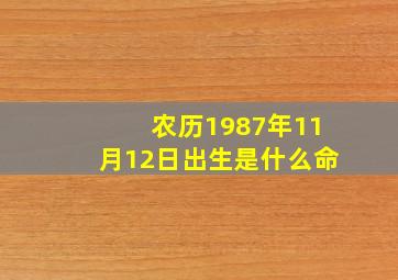 农历1987年11月12日出生是什么命