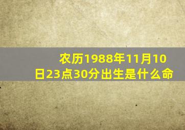 农历1988年11月10日23点30分出生是什么命