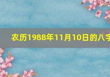 农历1988年11月10日的八字